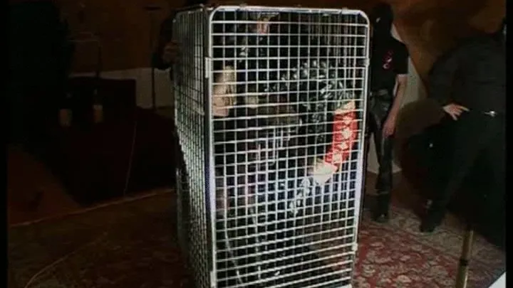 Extreme BDSM Game with Caged Cat Punished by Two Masters and Cruel Mistress is Fucked Hard by All Of them End with a Cum Bath