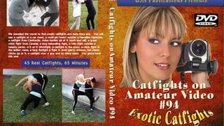 Catfights on Amateur Video #94 (Full Download)