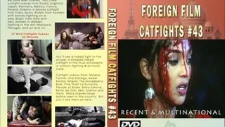 Foreign Film Catfights #43 (Full Download)