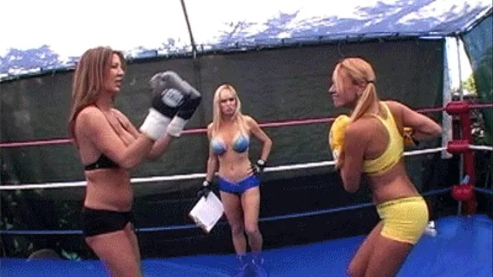 Sparring Superstars: Stacy vs Hollywood