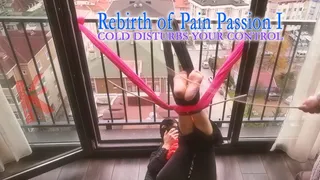 Rebirth of Pain Passion 1