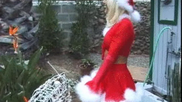 Webdude's Christmas Nightmare: Nikki Steele vs Webdude