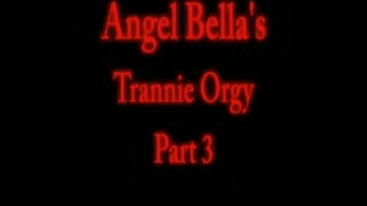 Angels Trannie Orgy - Part 3 of 4