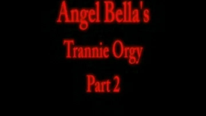 Angels Trannie Orgy - Part 2 of 4