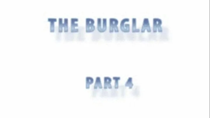 The Burglar - Part 4