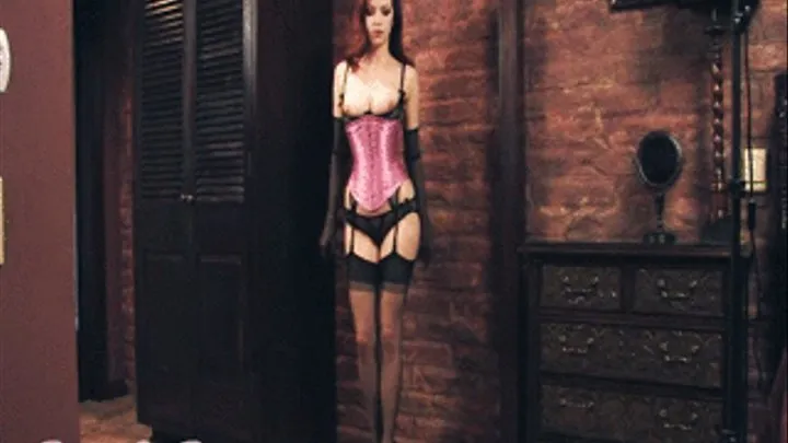 Soft and Sensual - corset, stockings gloves lingerie tease