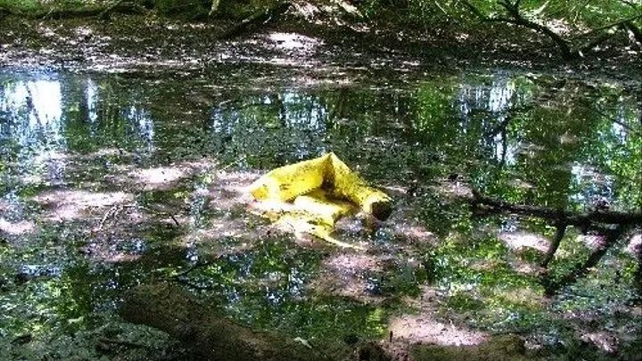 Yellow knee high boots & the mudpond.(4x6)