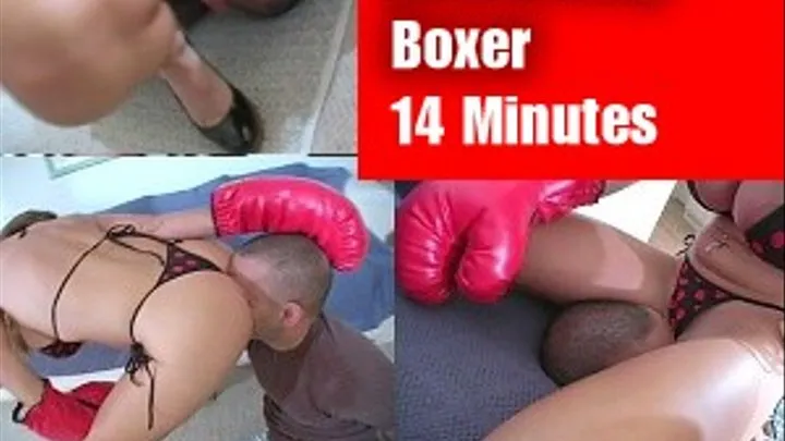 Facesitting Boxer Compilation Parts 1-3