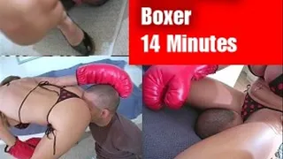 Facesitting Boxer Compilation Parts 1-3