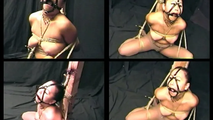 BONDAGE ROPE STUDIES - V