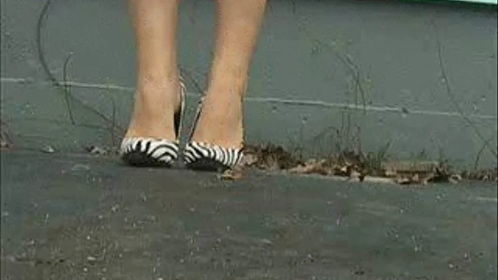 Zebra Heels