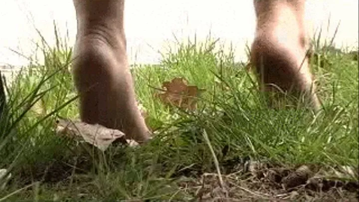 PORCHA BARE GRASSY UC SOLES 2