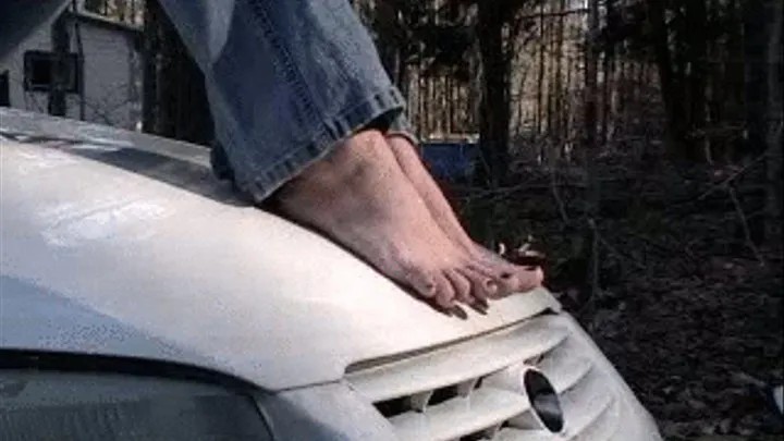 TRINITY CAR HOOD TOES 2