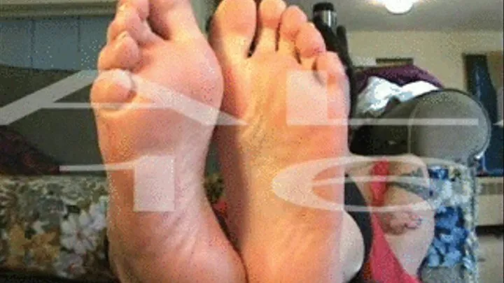 LALA SOLES 16