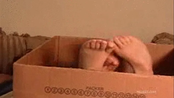 BOXEY FEET pt 3