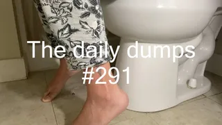 The daily dumps #291