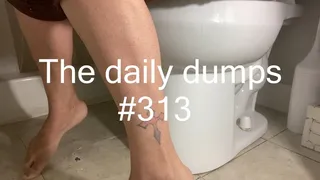 The daily dumps #313