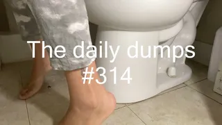 The daily dumps #314