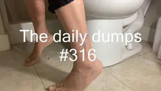 The daily dumps #316