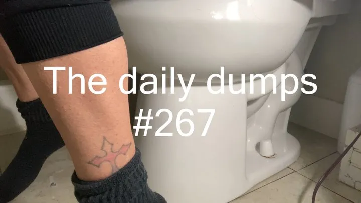 The daily dumps #267