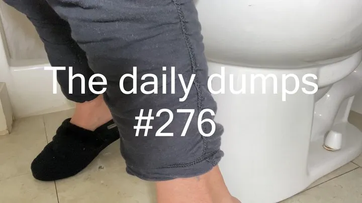 The daily dumps #276