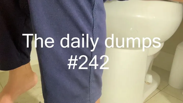 The daily dumps #242