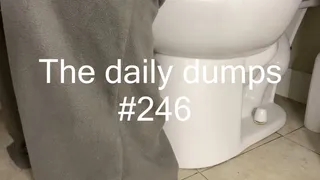 The daily dumps #246
