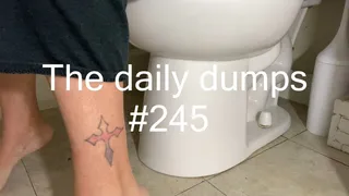 The daily dumps #245