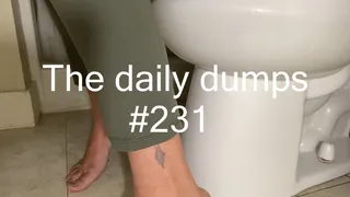 The daily dumps #231