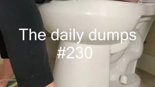 The daily dumps #230
