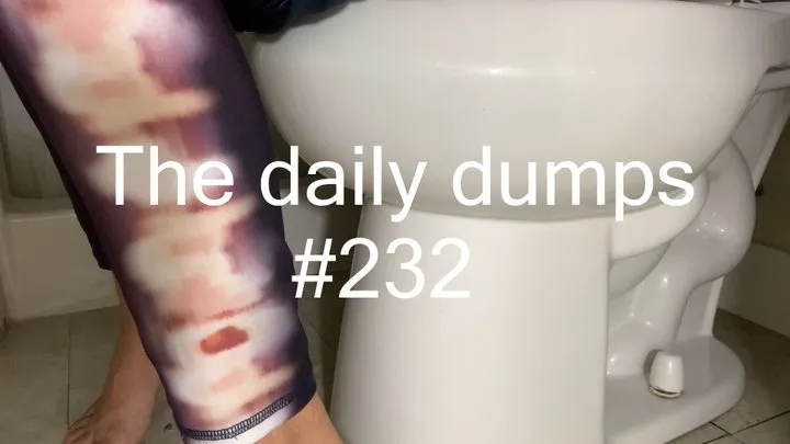 The daily dumps #232