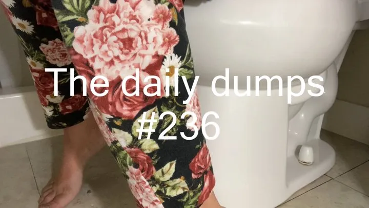 The daily dumps #236