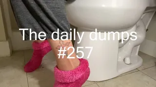The daily dumps #257