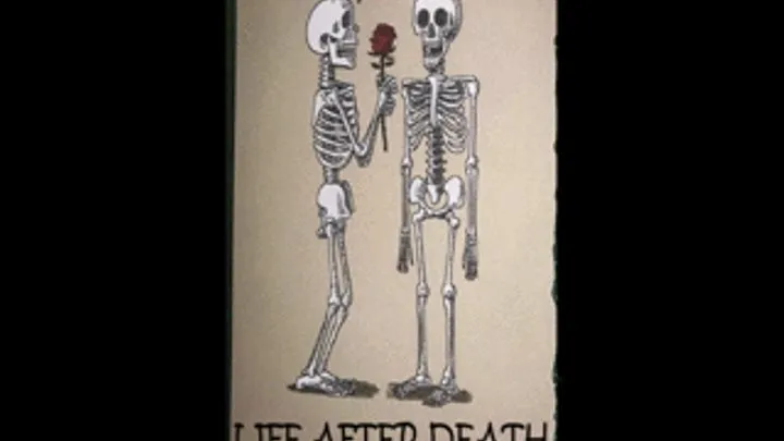 The Afterlife