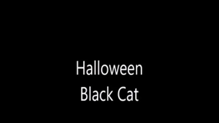 Halloween Black Cat