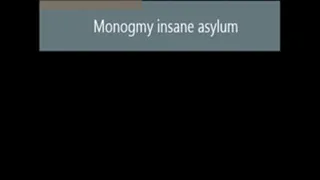 MONOGAMY INSANE ASYLUM