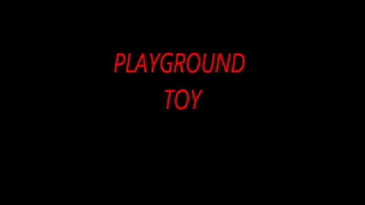 PLAYGROUND TOY