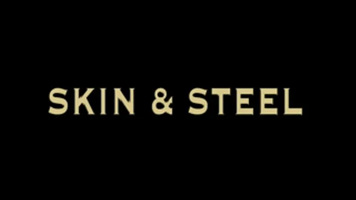 SKIN & STEEL