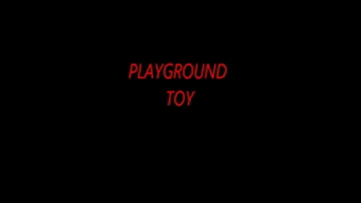 PLAYGROUND TOY