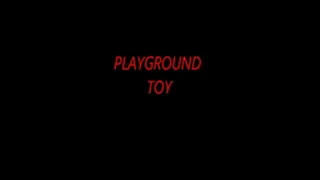 PLAYGROUND TOY