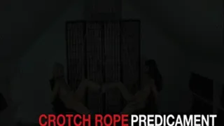 CROTCH ROPE PREDICAMENT