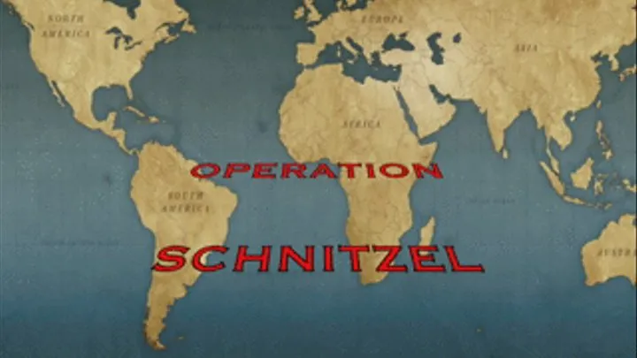 OPERATION SCHNITZEL