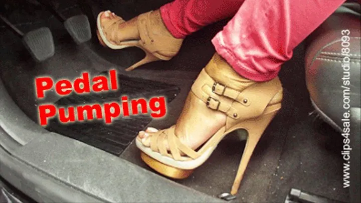 a-0686 Miami Pedal Pumping