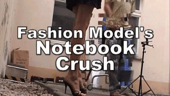 a-0234 Fashion Model's Notebook Crush