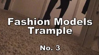 a-0449 Fashion Models Trample No.3