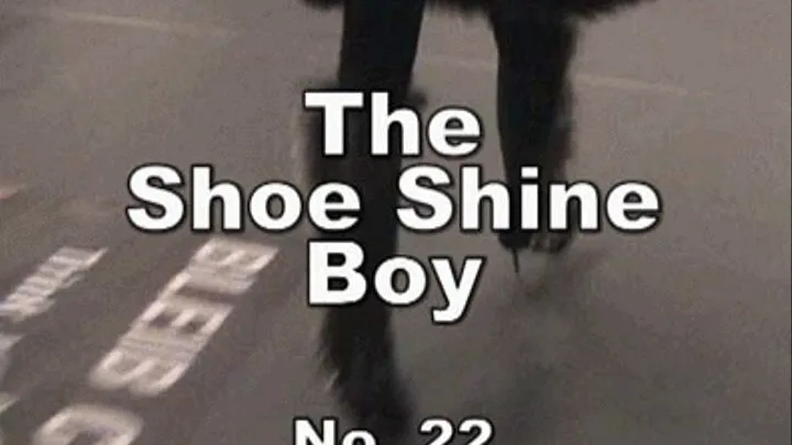 a-0478 The ShoeShine Boy No.22