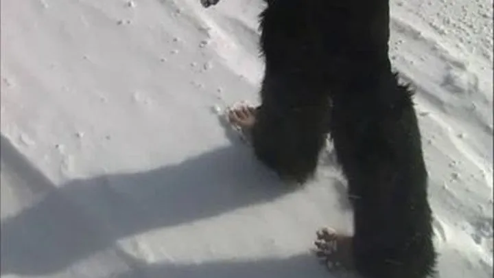 Cecilia Is On A Barefoot Snow Walk