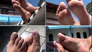 FEET SOLES AT THE SUN