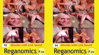 Reganomics28