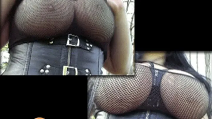 Leather & Fishnet - Lady Schokomaus Vol. 2